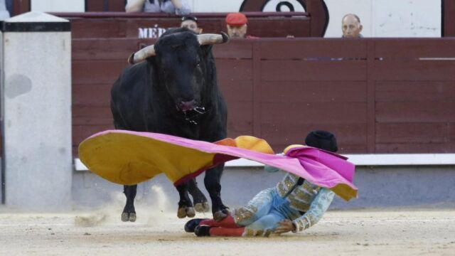 Juan Carlos Carballo es pisado por el toro «Vistalegre» al recibir a porta gayola