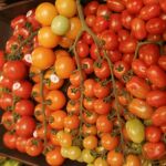 Los tomates ecológicos son más ricos cuando tienen estrés