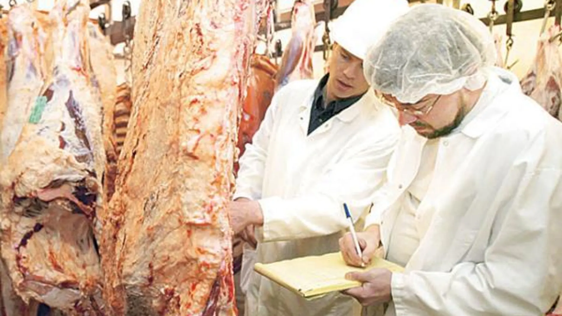 Inspectores alimentarios analizan una res en un matadero