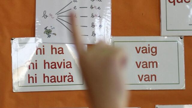 De momento, la Comisión de Peticiones no enviará un equipo para examinar la situación en los colegios