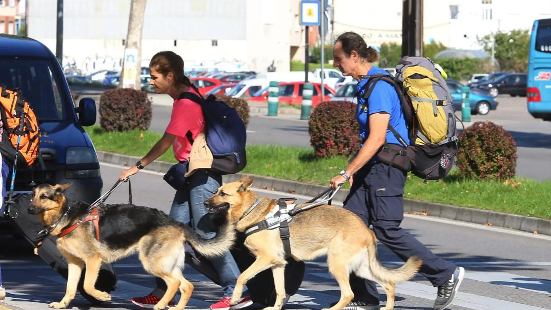 Peregrinos de la ONCE llegan a Ponferrada para iniciar la Ruta Jacobea con ayuda de sus perros-guía