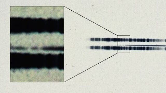 Una placa de 1917 revela la primera evidencia de planetas extrasolares