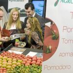 Entre las hortalizas, la más consumida por la población es el tomate, con 13,6 kilos por persona y año