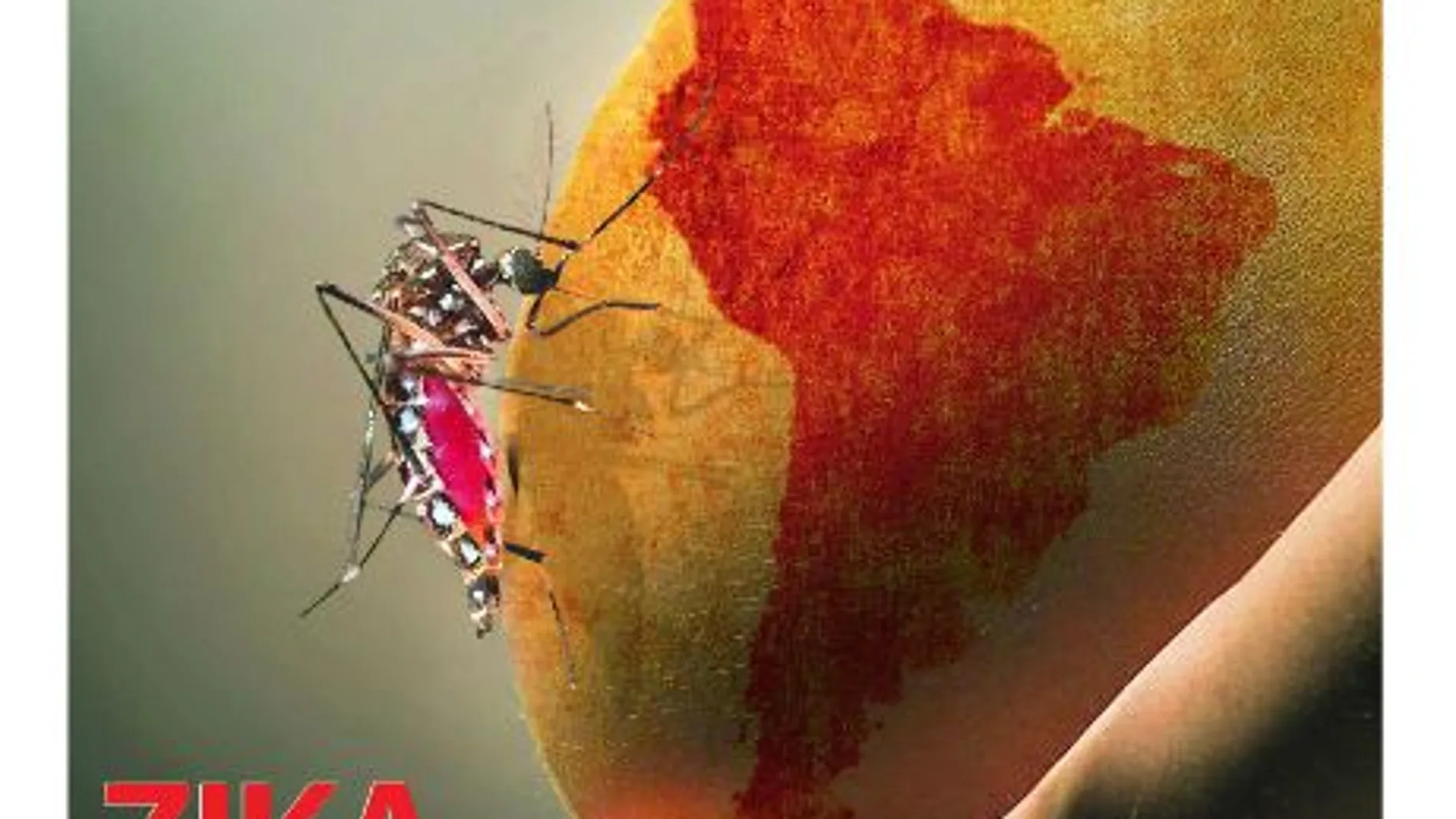 Zika, una amenaza para las gestantes