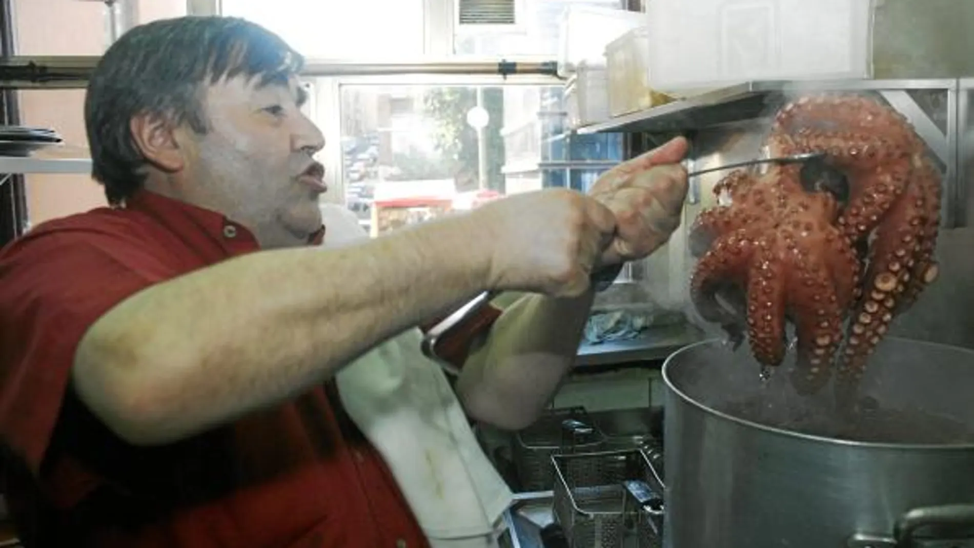 Y se desató la fiebre del pulpo