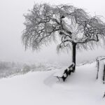 Pasan ocho días encerrados en un pub por culpa de la nieve