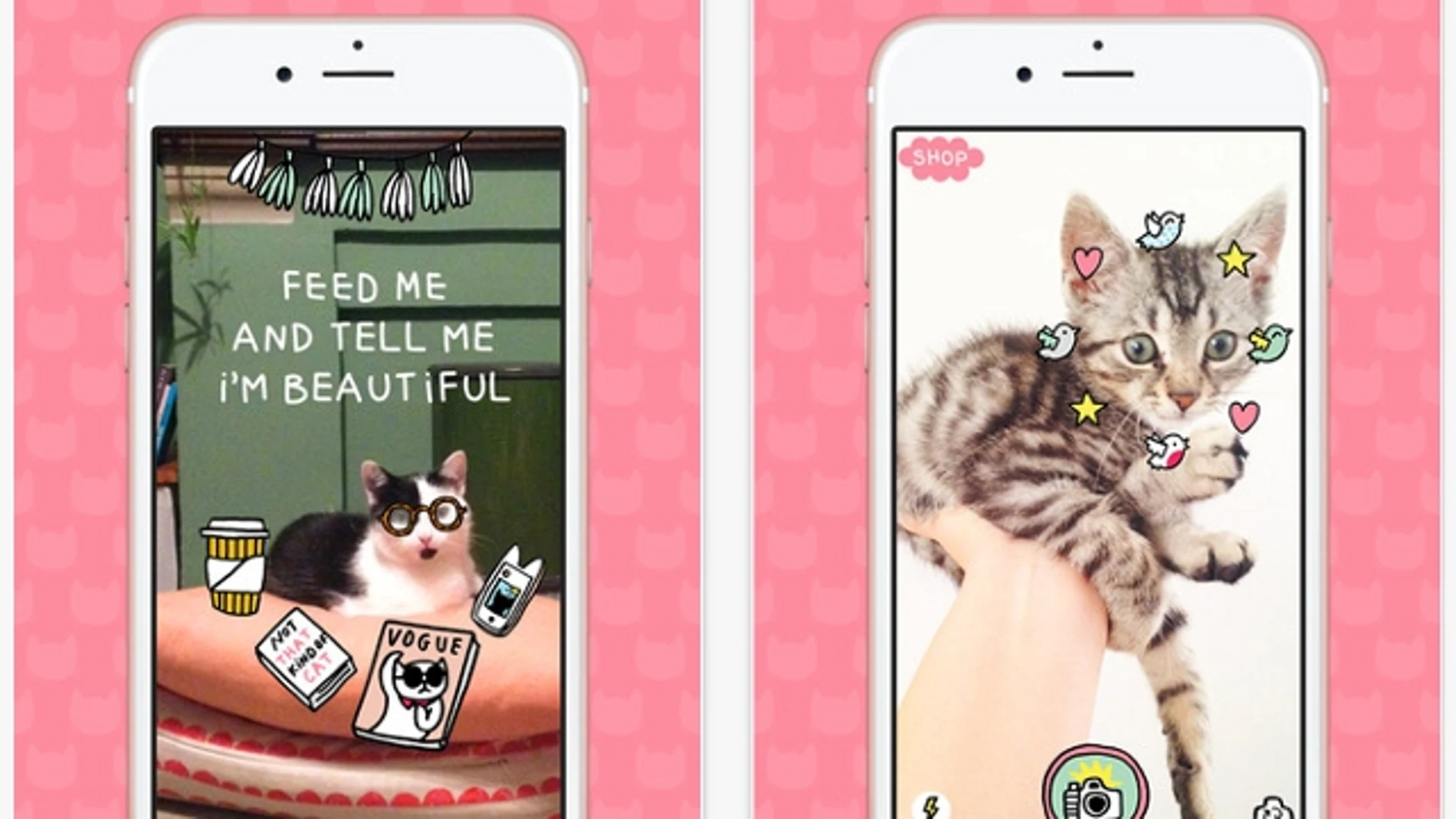 Telekitty, la primera app capaz de leer la mente de tu gato