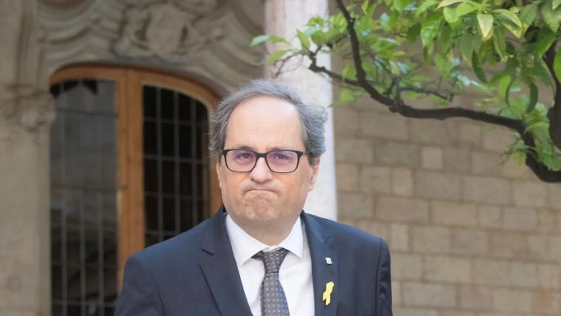 El presidente de la Generalitat, Quim Torra / Efe