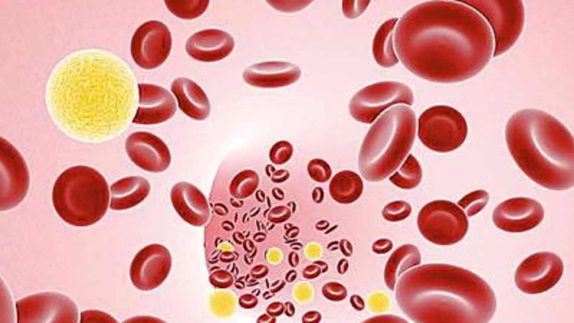 Más seguridad en la anticoagulación