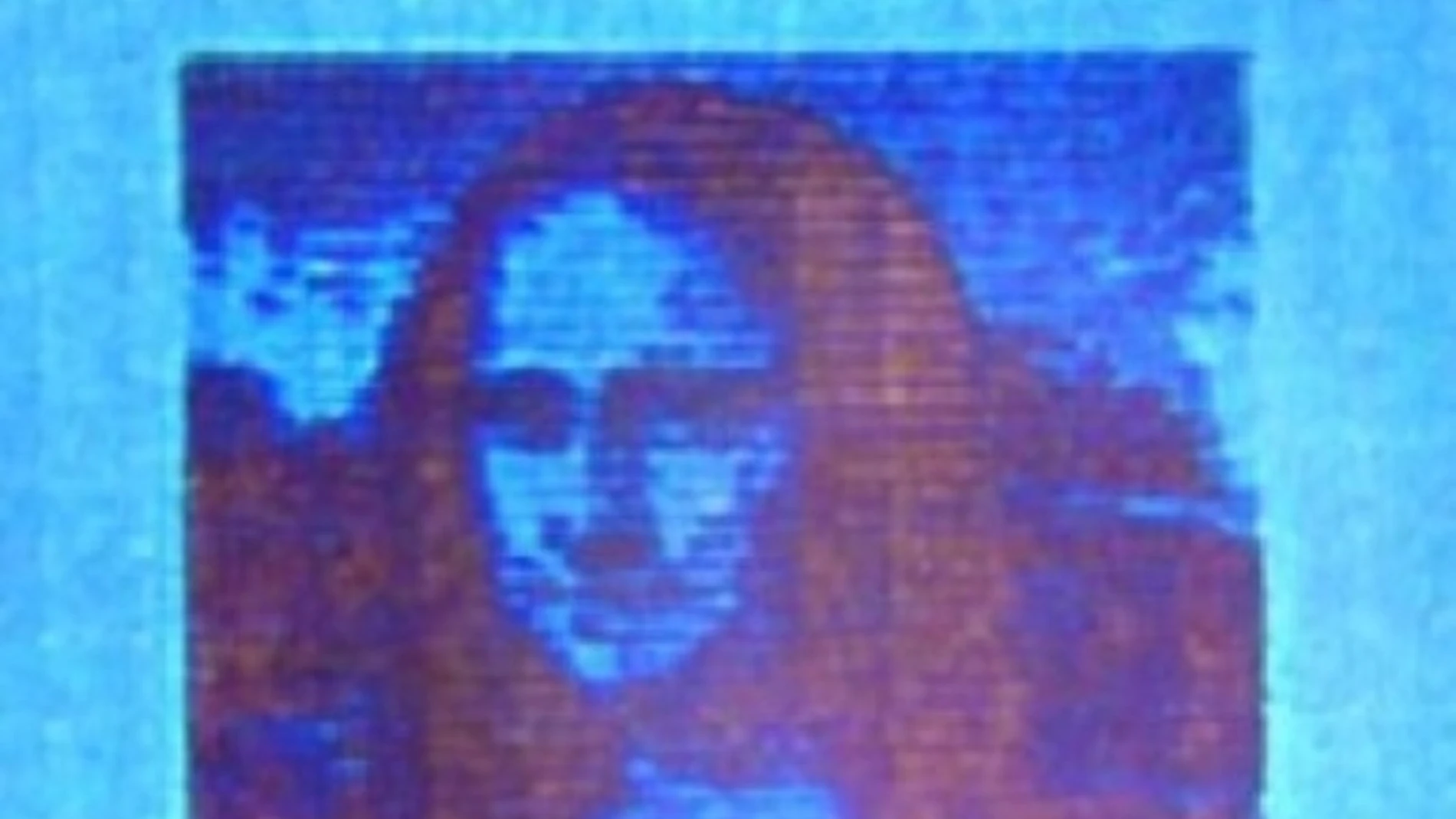 Mona Lisa microscópica, de sólo 50 micras de largo, y 10.000 veces más pequeña que la original.