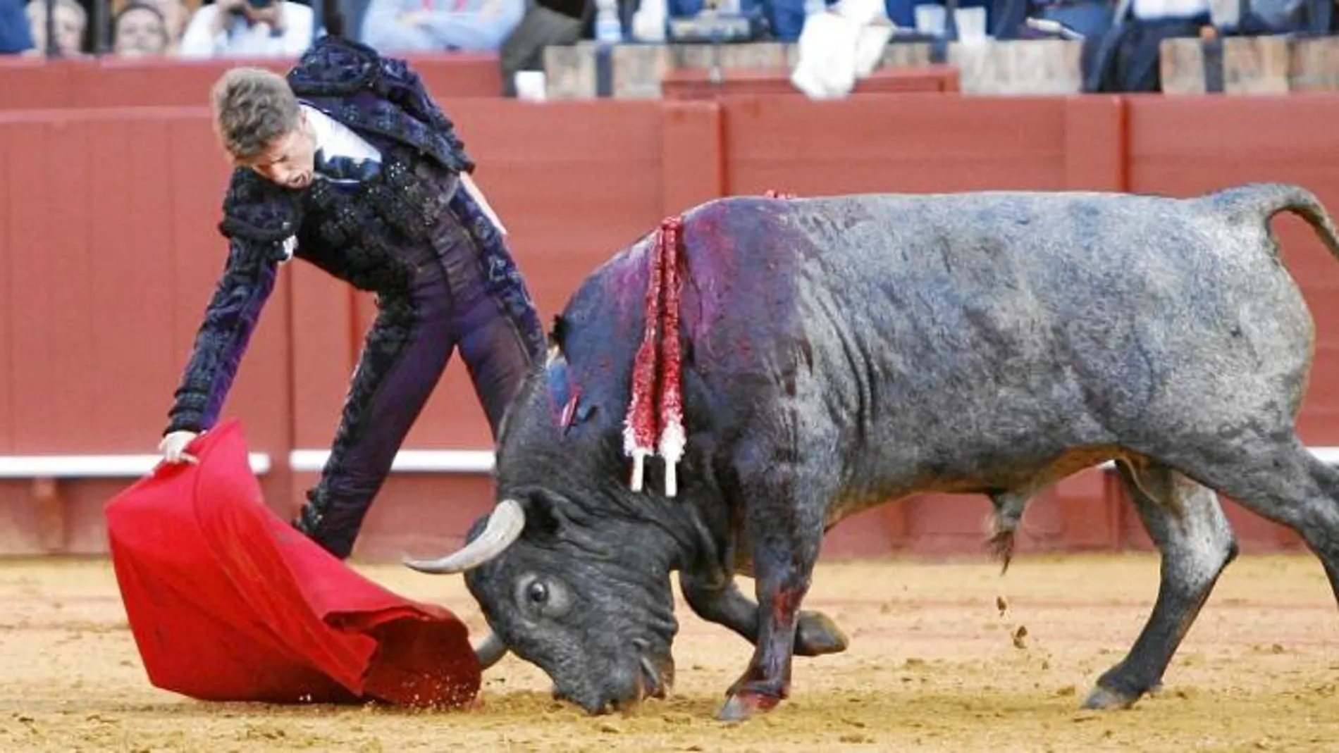 Escribano, torea con la diestra a «Cobradiezmos», el toro de Victorino Martín que fue indultado en Sevilla