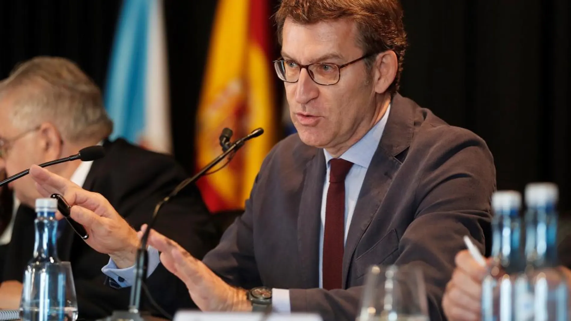 El Presidente de la Xunta de Galicia, Alberto Núñez Feijóo / Efe