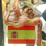 Tras adivinar los resultados de semifinal y final, el pulpo Paul se ha convertido en un emblema para los españoles, y podría llegar a Madrid