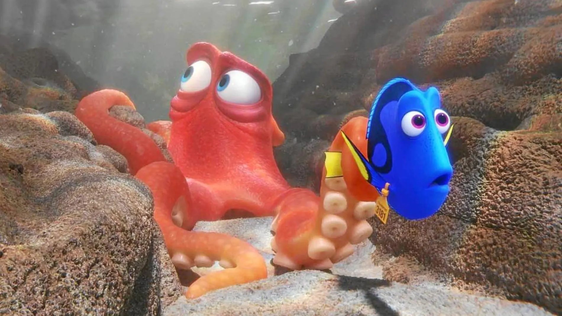 El pulpo Hank junto a Dory, en un fotograma de «Buscando a Dory»