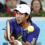 Verdasco no pudo repetir éxito en Madrid