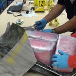 Detenidos tres hombres relacionados con un alijo de 465 kilos de cocaína intervenidos en enero