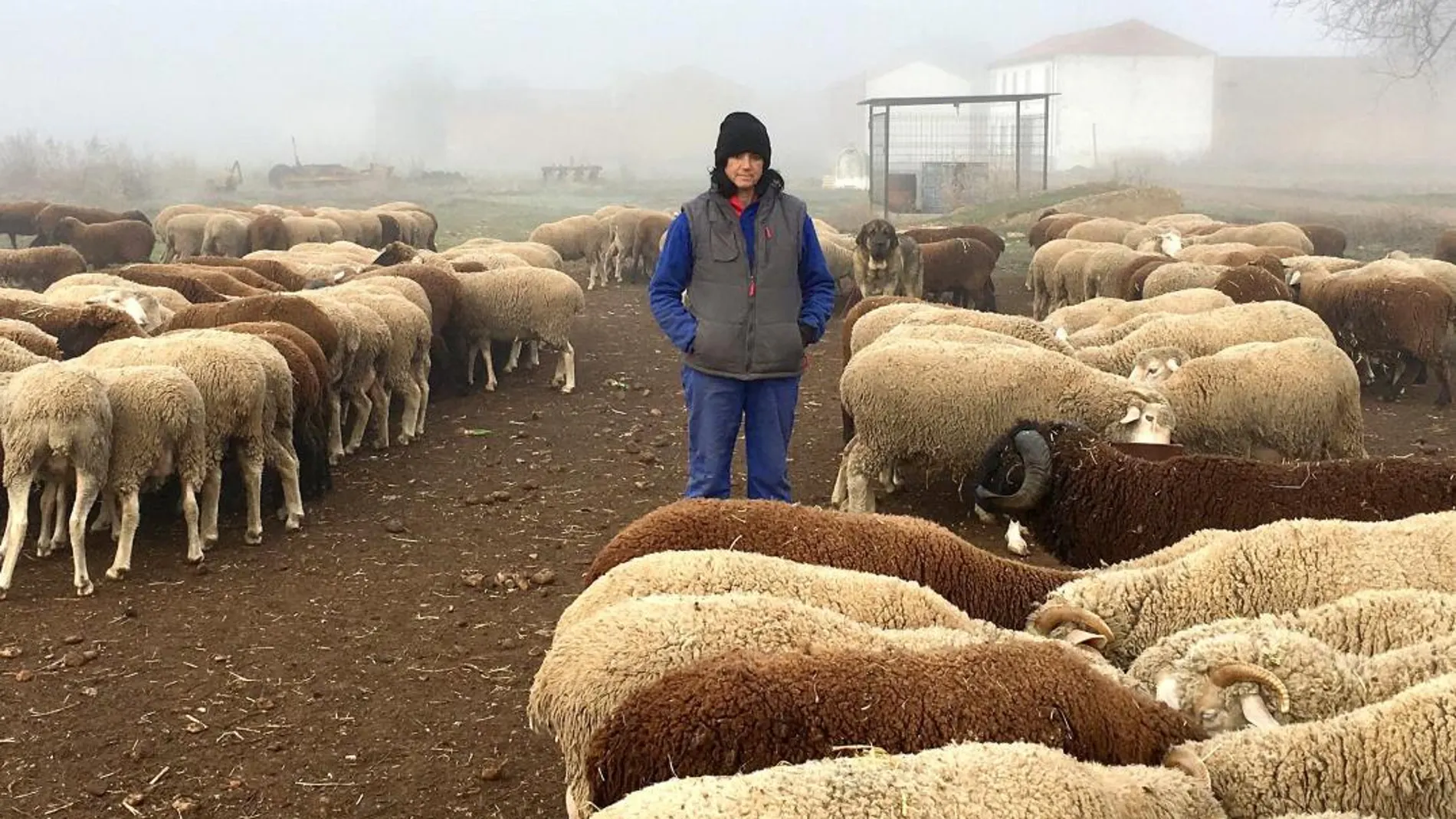 Violeta Alegre, pastora integrante del proyecto «Ganaderas en red», junto a parte de su rebaño