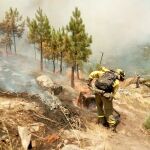 Operarios trabajan para luchar contra uno de los últimos incendios forestales que ha registrado la provincia de Ávila este verano