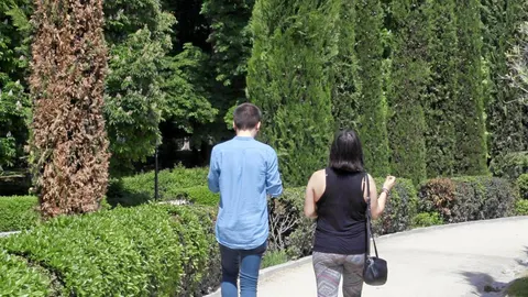 La mayoría de los 170 cipreses que forman parte del monumento a las víctimas del 11-M en El Retiro presentan tonos pardos desde la pasada primavera como consecuencia del calor.