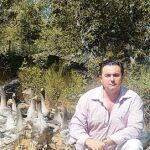 Patería de sousa, paté sin alimentación forzosa
