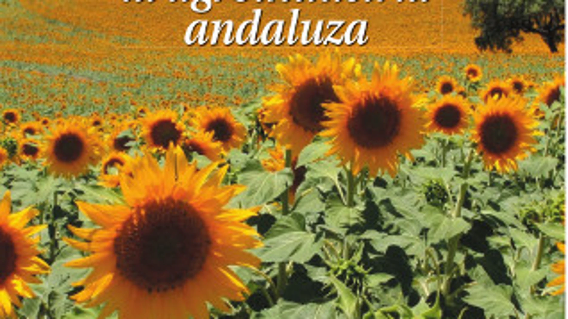 Los Horizontes de la Agroindustria Andaluza