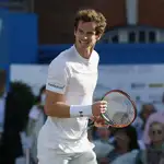 Murray-Troicki y Simon-Anderson, semifinales en Londres
