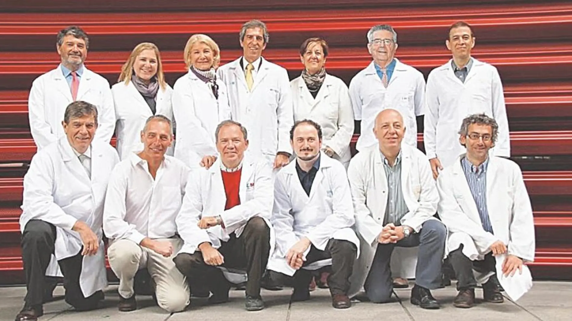 Desde la izquierda, de pie: José Mª Morán, Paula Chao, Asunción Rosado, Miguel Ángel Sánchez Chillón, Belén Padilla, Ángel Oso y Ricardo Angora. En primera línea: Pablo Lázaro, Ángel Sanz-Vírseda, Ignacio Sevilla, Borja Castejón, F. Javier García y Julio Bonis