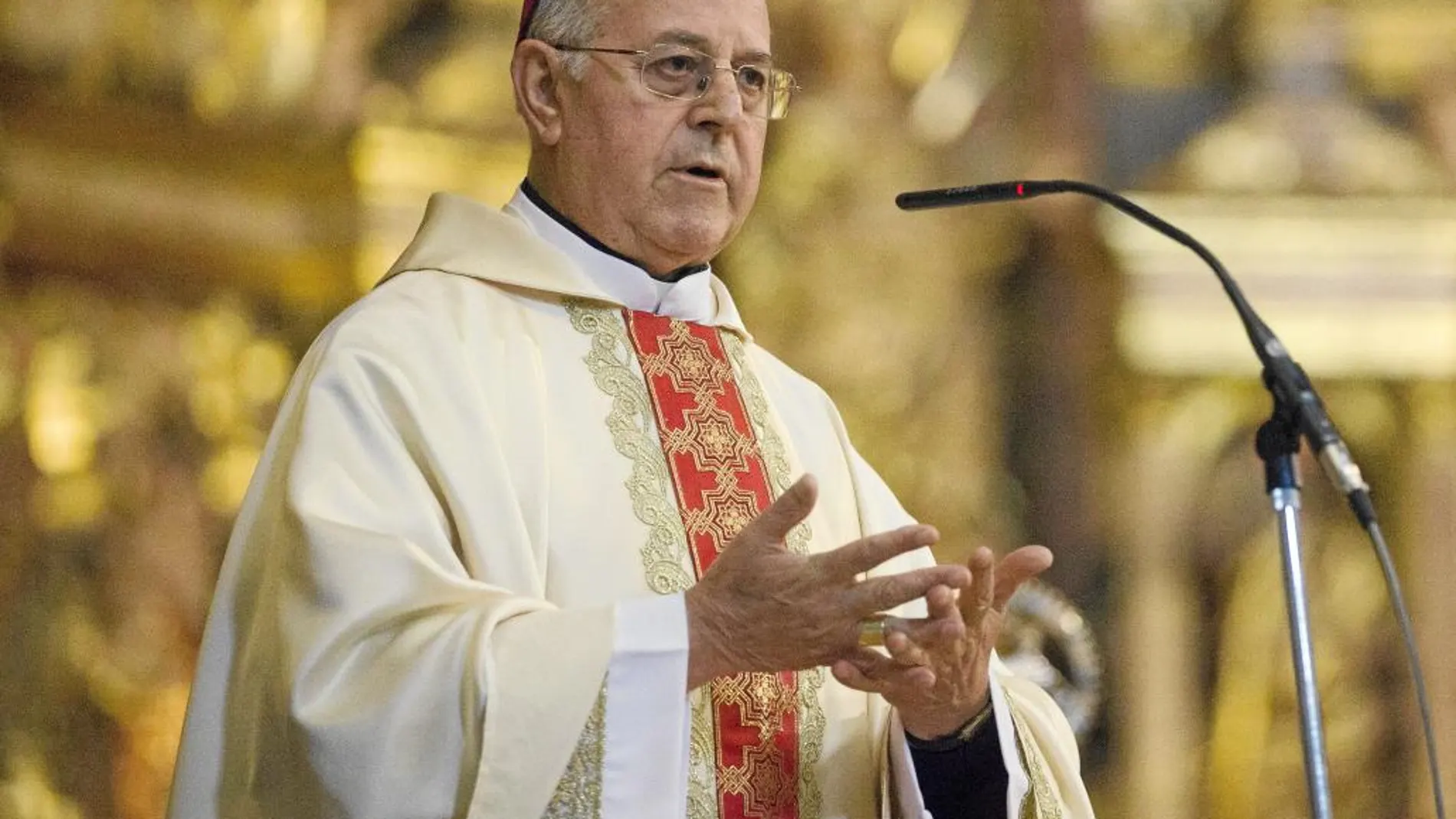 El arzobispo cardenal de Valladolid, Ricardo Blázquez