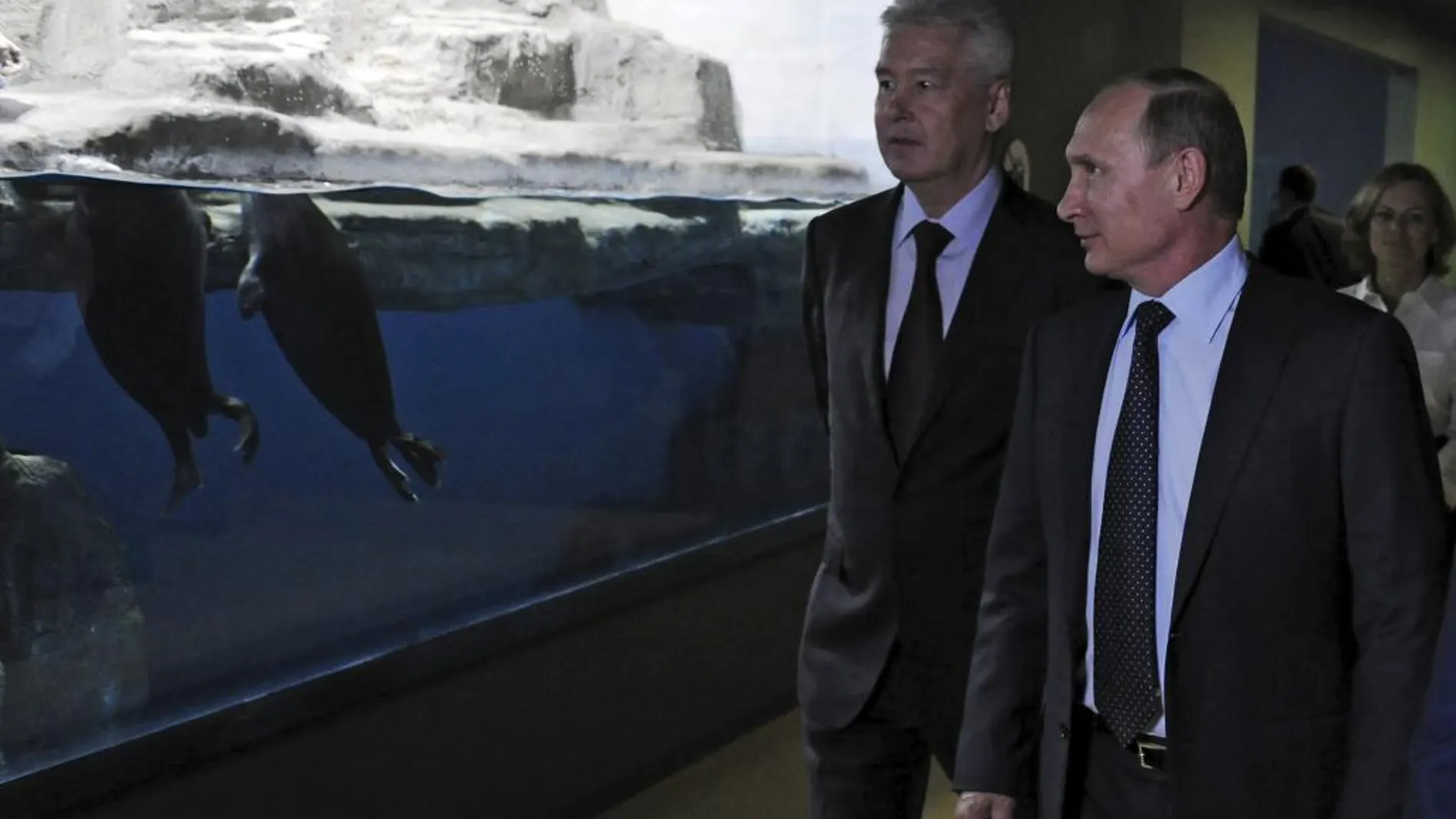 El presidente ruso, Vladimir Putin (d) y el alcalde de Moscú, Sergei Sobyanin visitando el centro oceanográfico Moskvarium