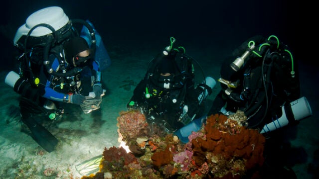 Científicos marinos de PharmaMar recogen muestras de macroorganismos durante una de sus expediciones