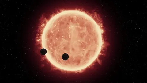 ¿Cómo ha de ser la vida extraterrestre para considerarse vida?