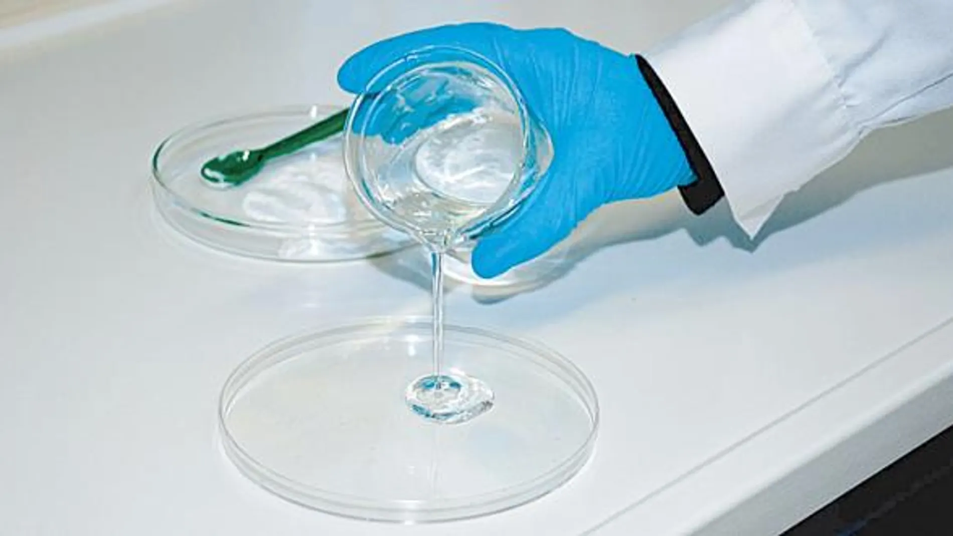Crean envases comestibles para alimentos que alargan la vida útil del producto