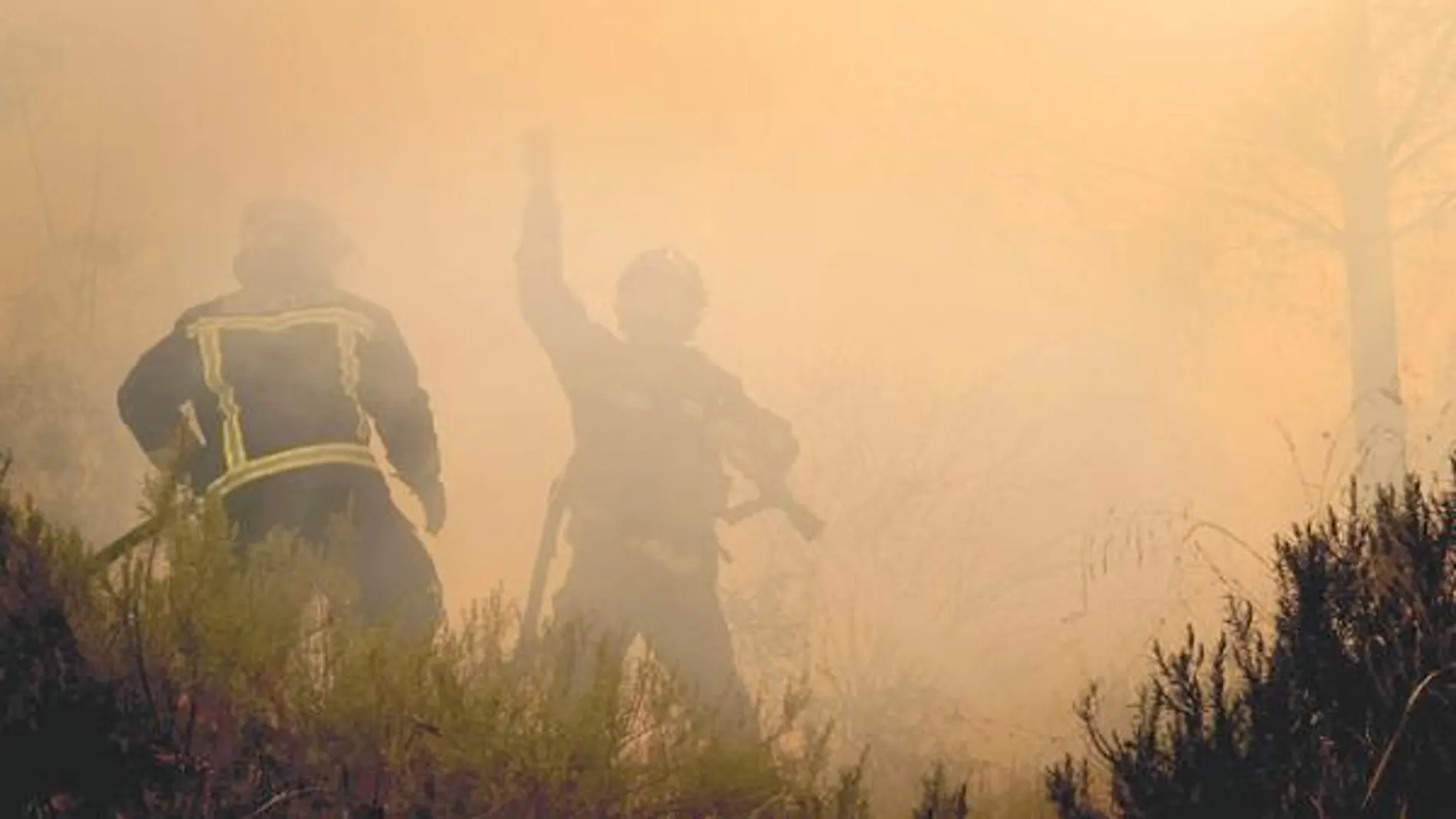 El último incendio ocurrido en Sevilla tuvo lugar el pasado miércoles en una zona de matorral del Charco de la Pava