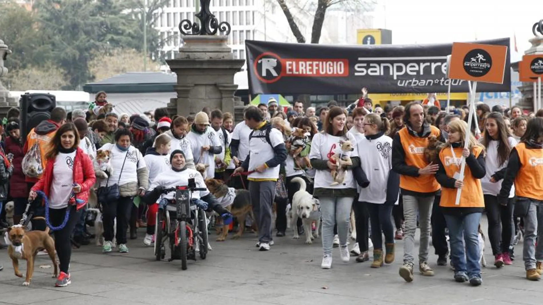 La organización protectora de animales El Refugio ha celebrado hoy la quinta edición de la carrera de canes Sanperrestre Urban Tour, que cada año reúne a cientos de mascotas. Este evento se ha convertido en una tradición de la Navidad madrileña para todos aquellos que conviven con perros.