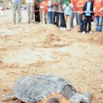 Oceanográfico: abierto por vacaciones