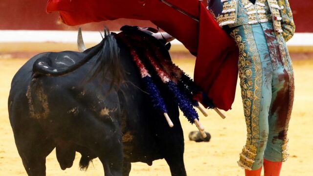 Ginés Marín por manoletinas hoy en San Sebastián / EFE