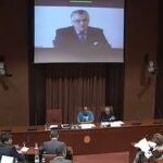 Comparecencia por videoconferencia de Luis Bárcenas en el Parlament