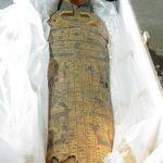 Egipto pide a EEUU la devolución de un sarcófago incautado en aduanas