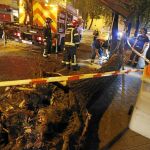 El árbol que se desplomó el domingo en Arganzuela, en la calle Embajadores