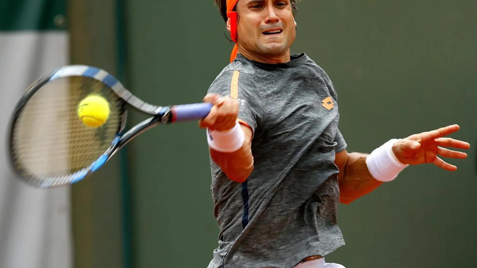 El español David Ferrer