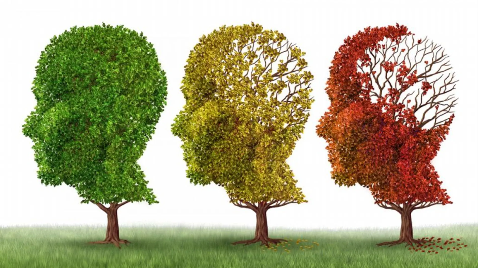 Una nueva forma de afrontar el alzhéimer
