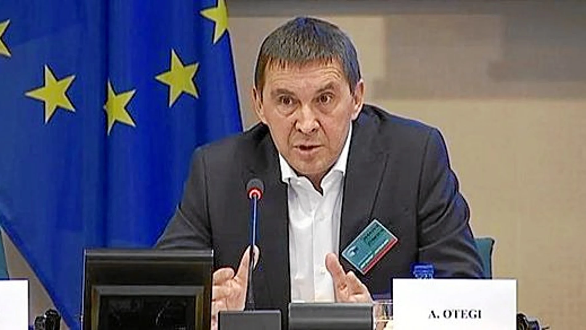 Arnaldo Otegi intervino en el Parlamento Europeo invitado por Podemos e Izquierda Unida.