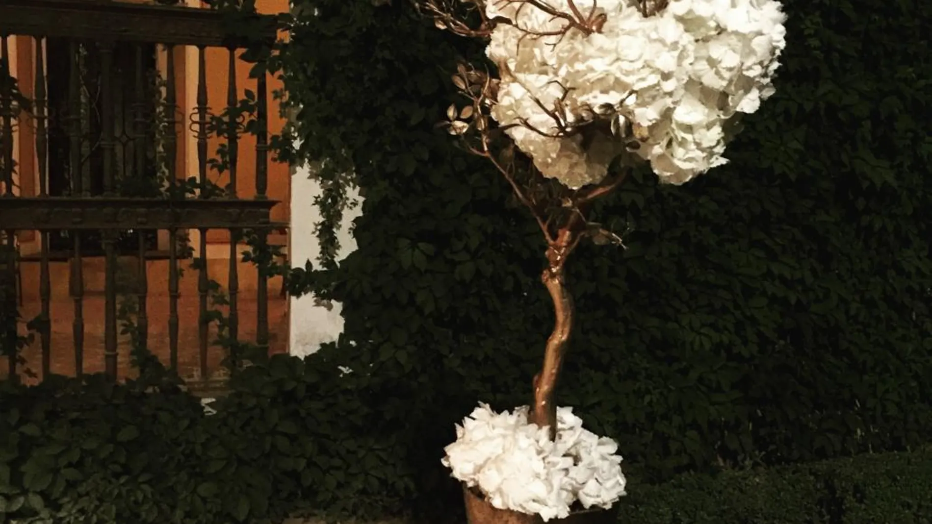 La flores de Búcaro Sevilla, una decoración excelente