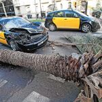 El vendaval cuesta al Ayuntamiento de Barcelona más de 874.000 euros