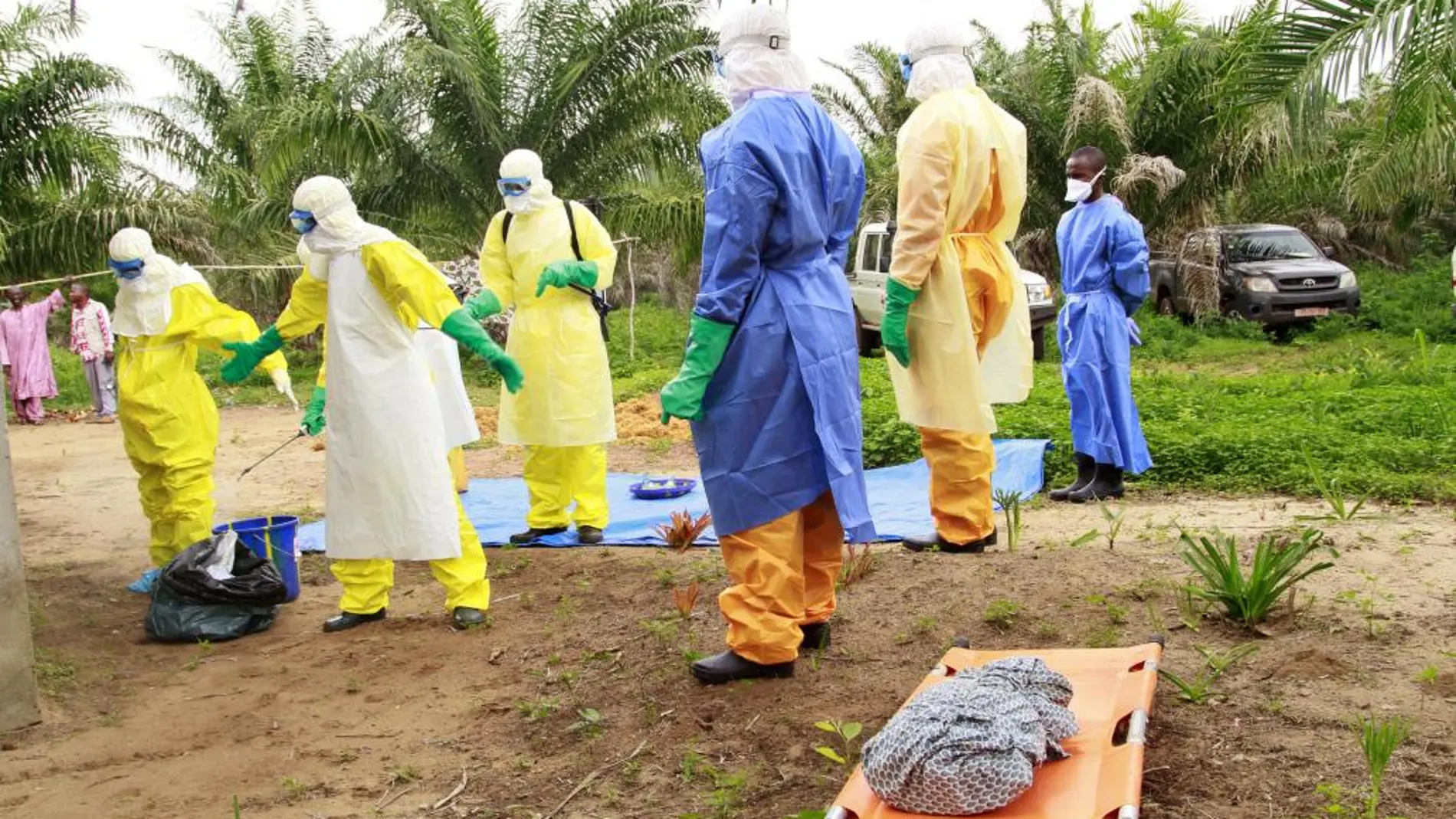 Trabajadores sanitarios se llevan el cuerpo de un bebé fallecido supuestamente por ébola, el pasado viernes en Conakry