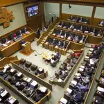  El Parlamento Vasco reclama el fin del alejamiento de los presos de ETA con la oposición del PP