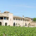 Finca Gomera cuenta con 10 hectáreas de viñedos de donde sale el vino Chardonnay que embotellan en su ya popular Vi de Go