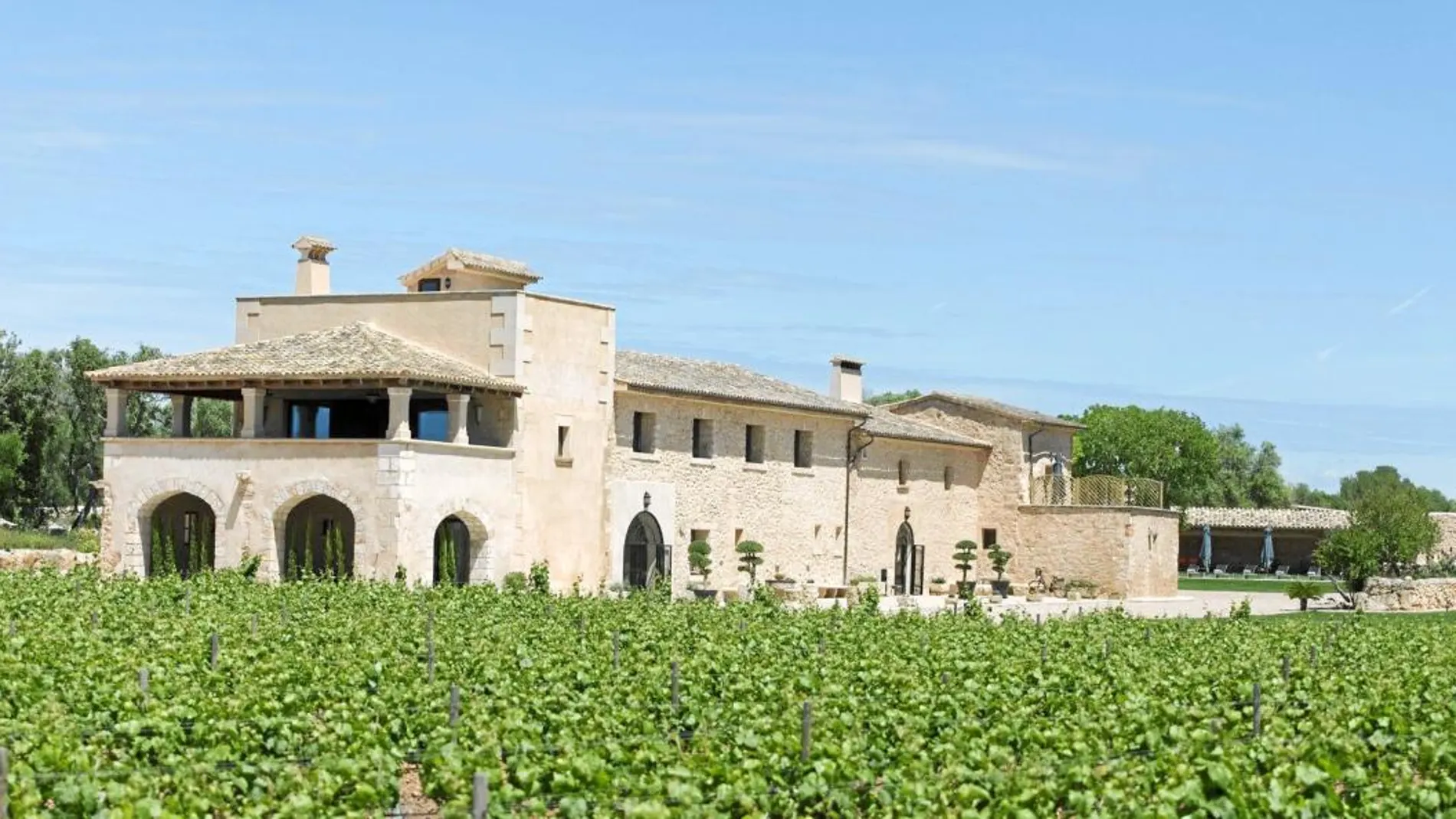 Finca Gomera cuenta con 10 hectáreas de viñedos de donde sale el vino Chardonnay que embotellan en su ya popular Vi de Go