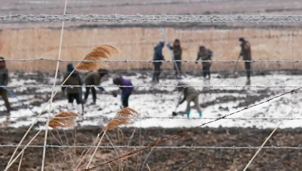 Un grupo de norcoreanos trabaja en la frontera entre Corea del Norte y China