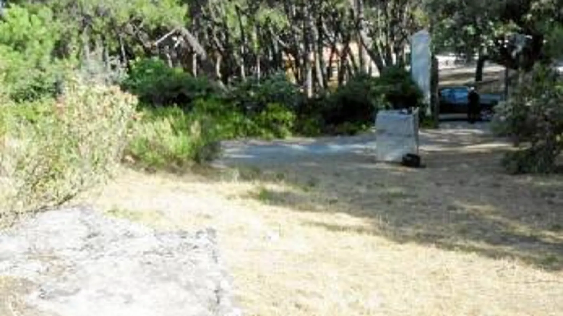 Vista de las fosas del paraje de Alfacar donde algunas investigaciones situaban los restos del poeta granadino Federico García Lorca
